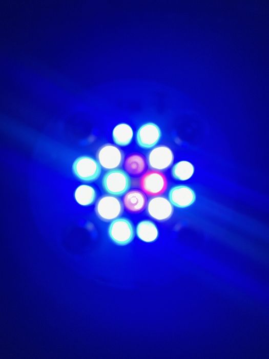 calha iluminaçao aquario