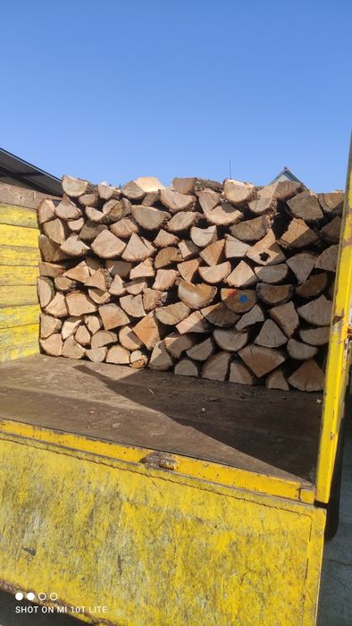 Drewno suche dąb buk grab olcha brzoa sosna