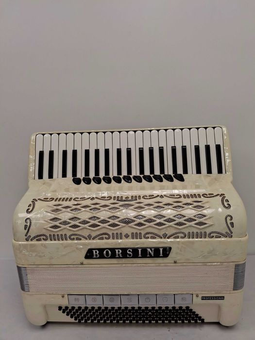 Akordeon Włoski Borsini 120 basów ,Musette, stan bdb zamiana!!