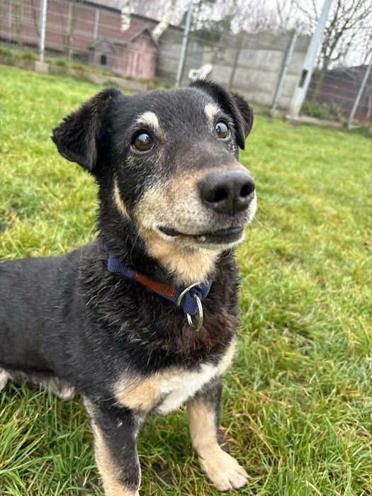Marty całe życie ma pecha… ale może być czyimś szczęściem. Tylko dajci