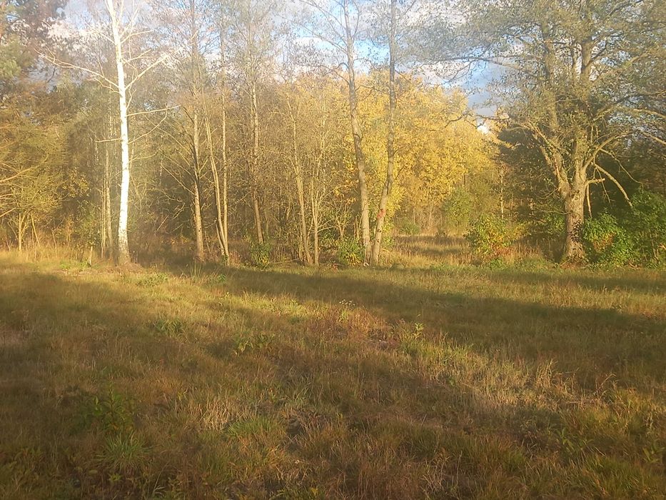 Sprzedam Działkę budowlaną k/Urli w Kukawkach - Widok 3