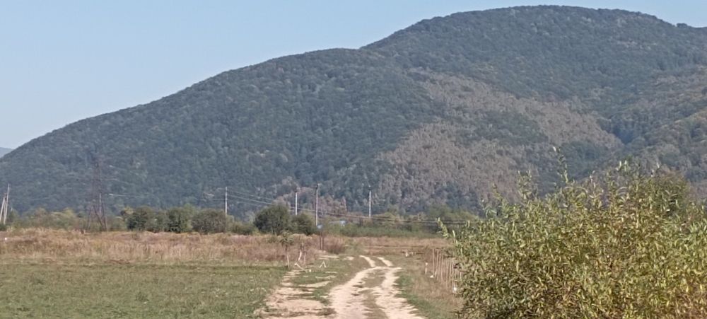 Продам земельну ділянку Голубине Закарпатської