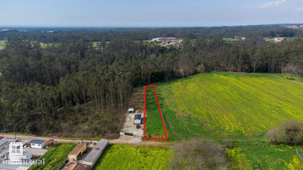 Terreno com 1.150 m2 para cultivo em São João de Ovar