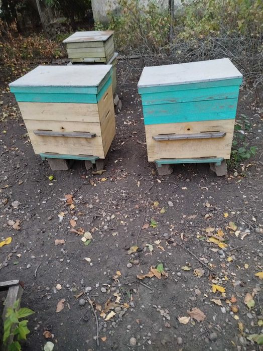 DIY- Вулики для бджілок.