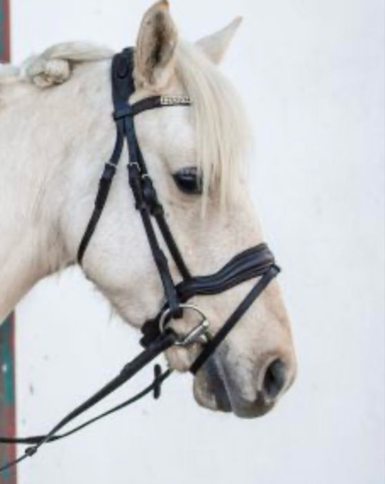 Ogłowie Lovequestrian "Glam Rosegold" Anatonomiczne Full czarne