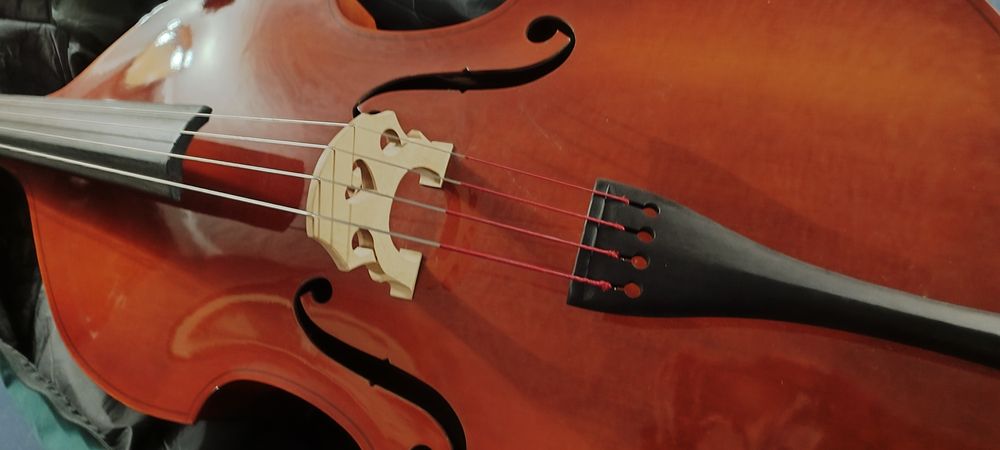 Contrabaixo strunal como novo