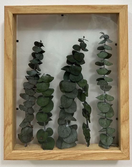 Quadros decorativos com plantas