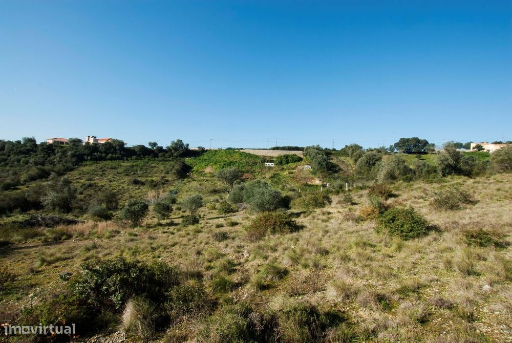 Terrenos para venda na Bemposta em Bucelas