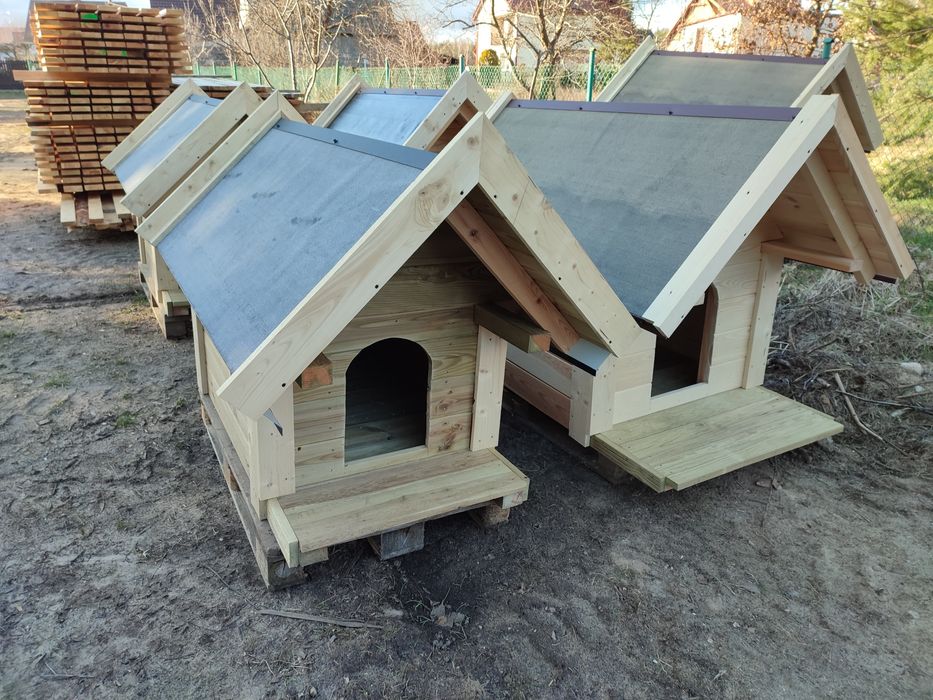 Buda dla psa , kojec