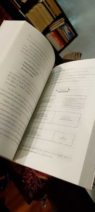 Desenvolvimento Curricular e Didática das Disciplinas 1994