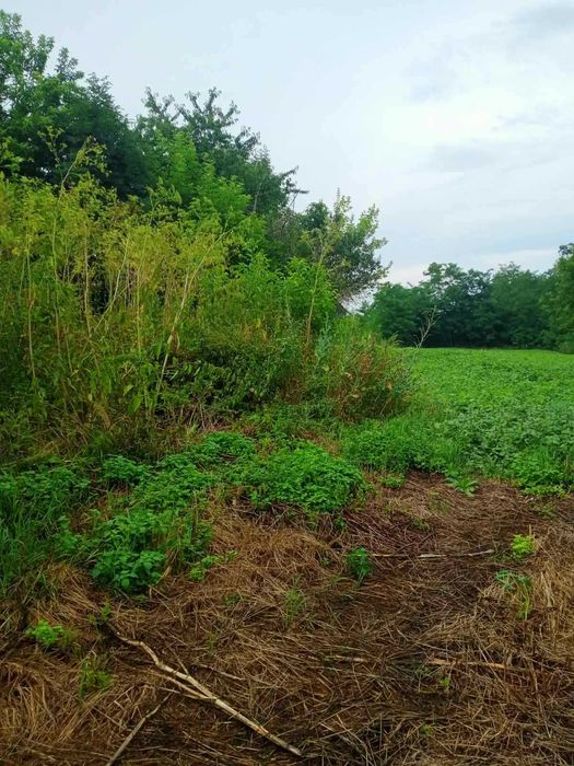 Продам земельну ділянку!!!