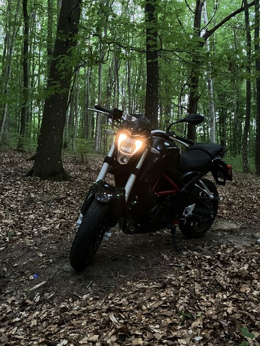 Benelli tnt 25 2018