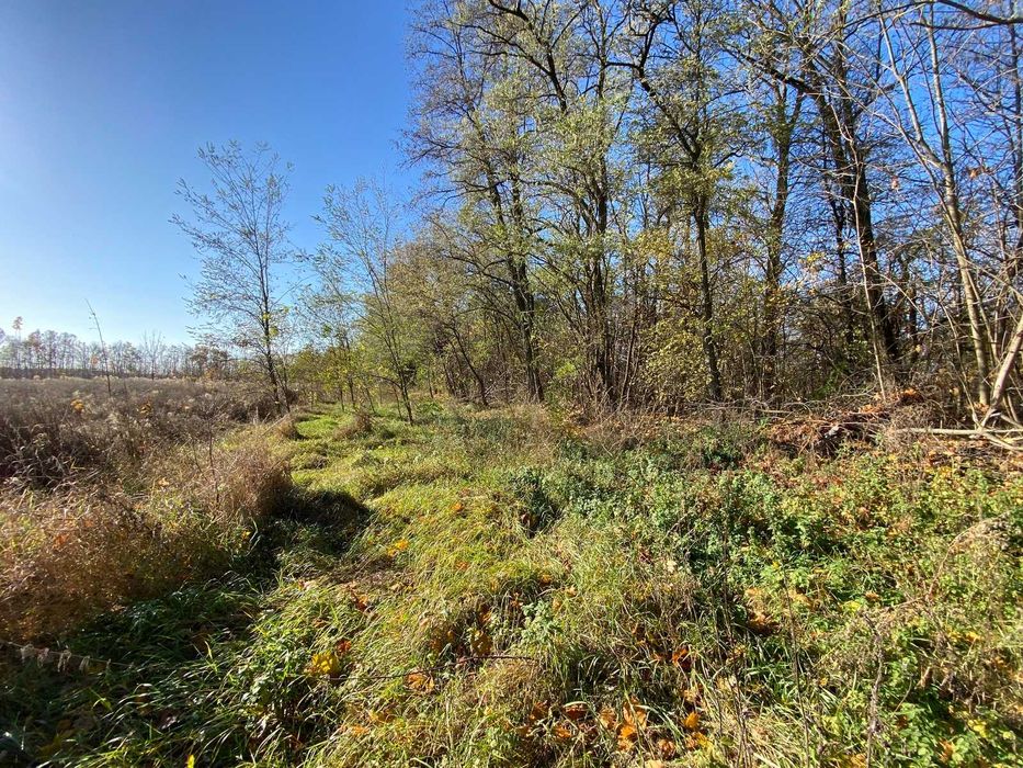 Продається земельна ділянка в Бохониках