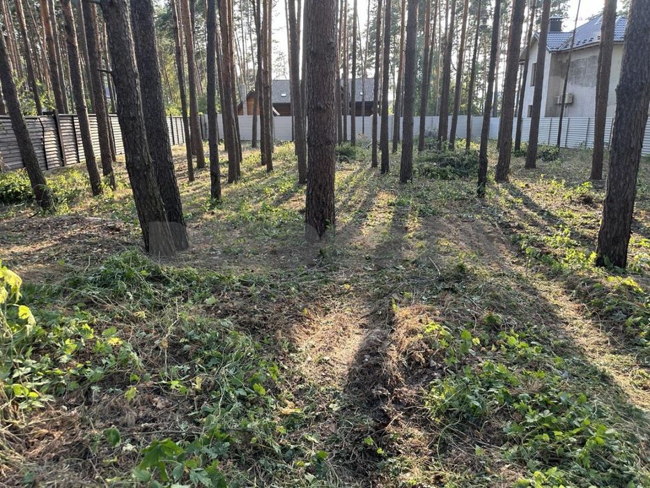 Продаж 13 соток землі, Бортничі, ліс, комунікації