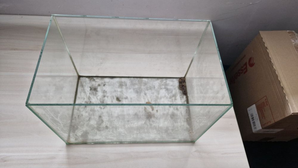 Terrarium szklane