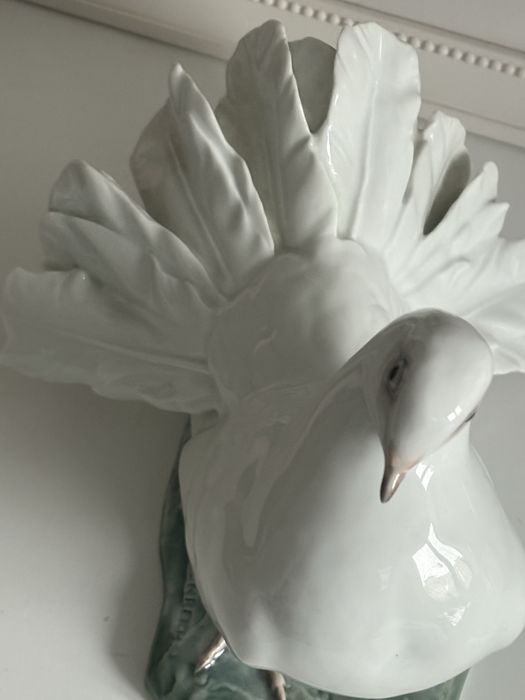 Gołębica Rosenthal