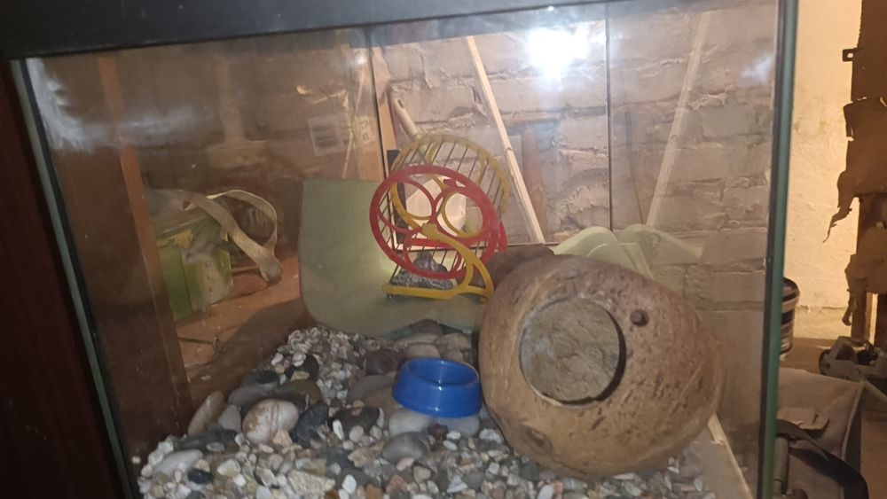 Akwarium 65l wyposażenie