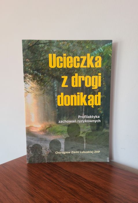 Ucieczka z drogi donikąd - Profilaktyka zachowań ryzykownych