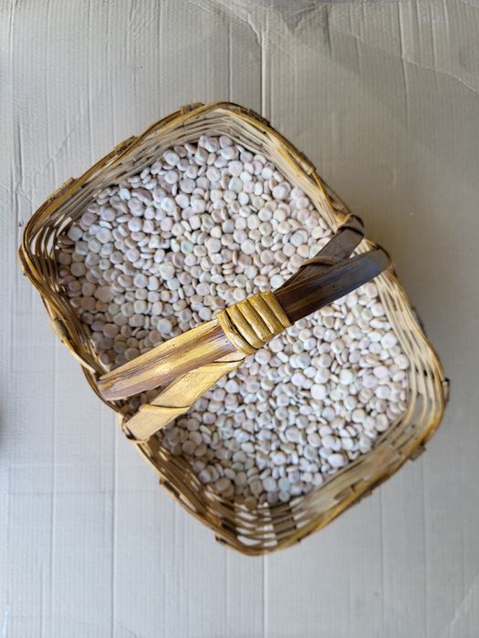 Tremoço Nacional Biológico