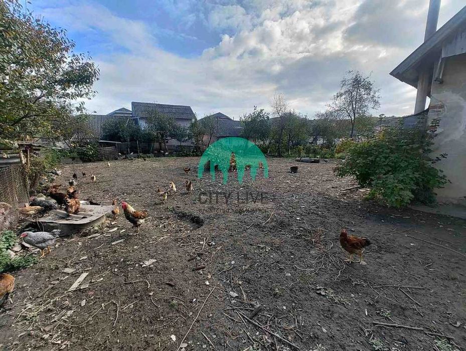 Продаж будинку в с.Крилос(60)