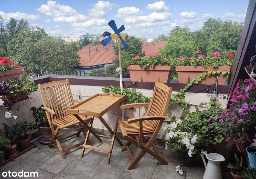 Taras i antresola / 120m2 przestrzeni