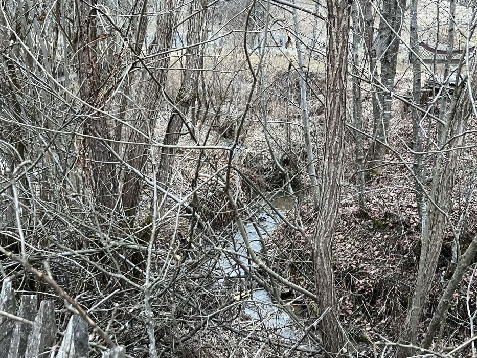 Продається маленький будинок у с. Сухий з двома ділянками