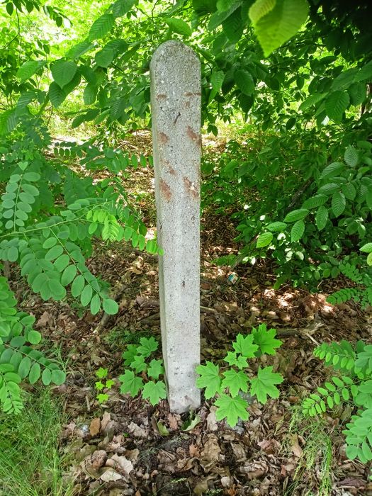 Słupy ogrodzeniowe 170 cm