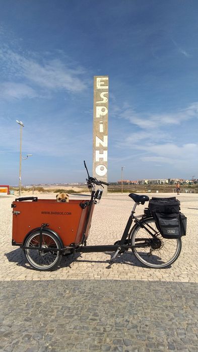 Bicicleta de carga Babboe