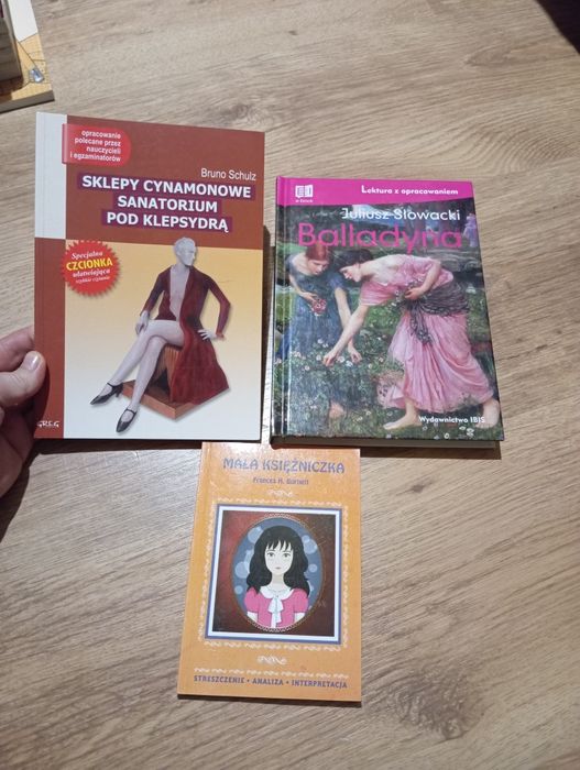 Lektury szkolne Balladyna, mała księżniczka i sklepy...
