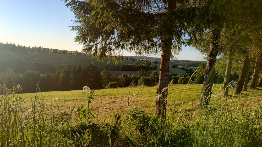 Siedlisko "BieszCzad" domki w Bieszczadach