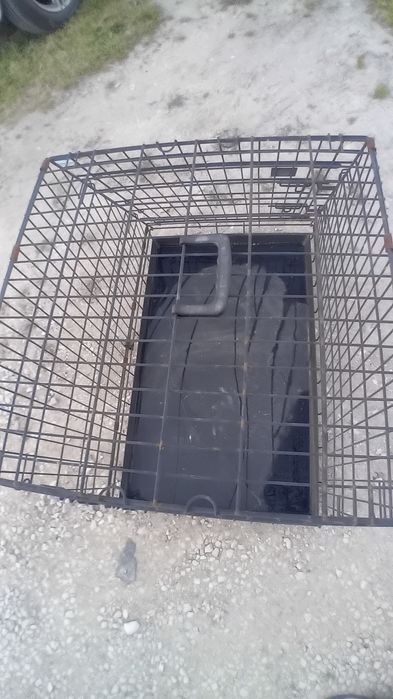 Caixa de transporte animais