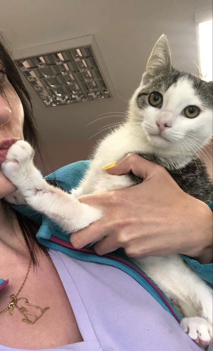 Ignaś do pokochania