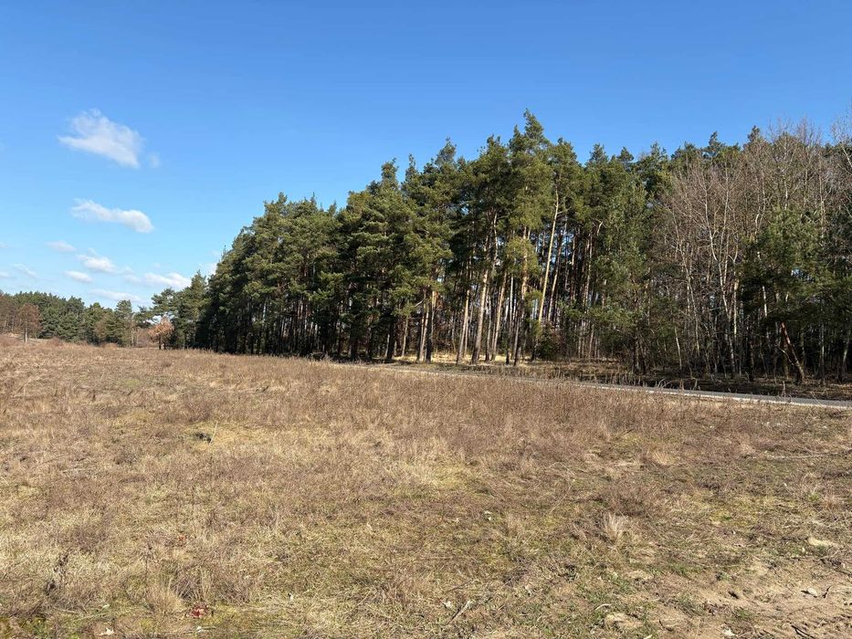 Działka 617m2 nad jeziorem Głuszyńskim, dojście do jeziora w cenie