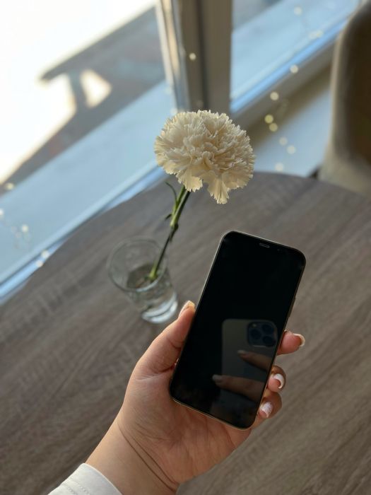 Iphone 12 Pro в ідеальному стані