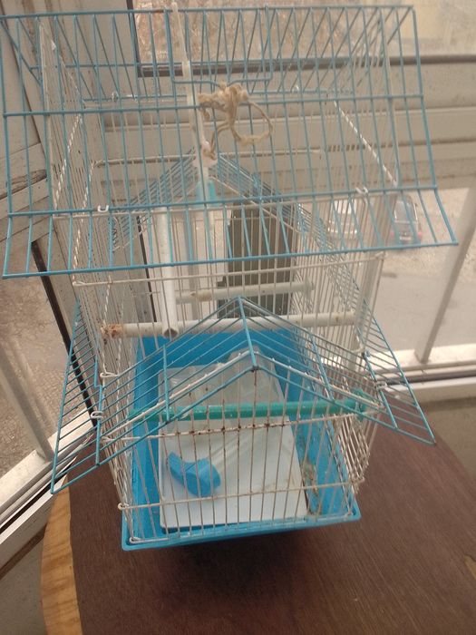 Gaiola Azul para Pássaros
