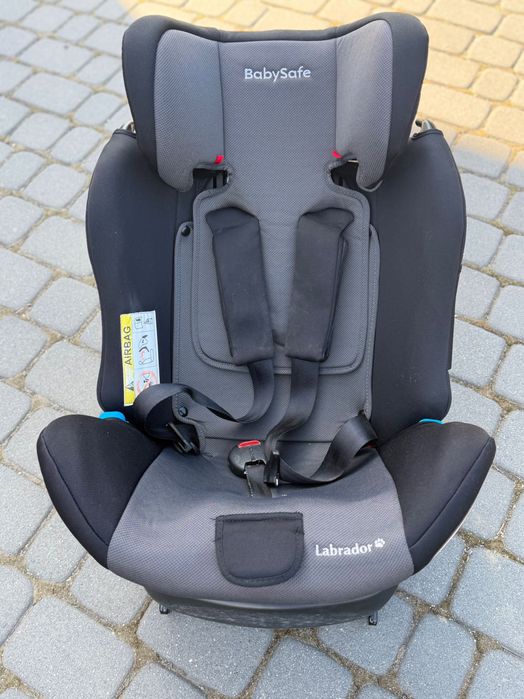 BabySafe Labrador Fotelik Samochodowy 0-36kg