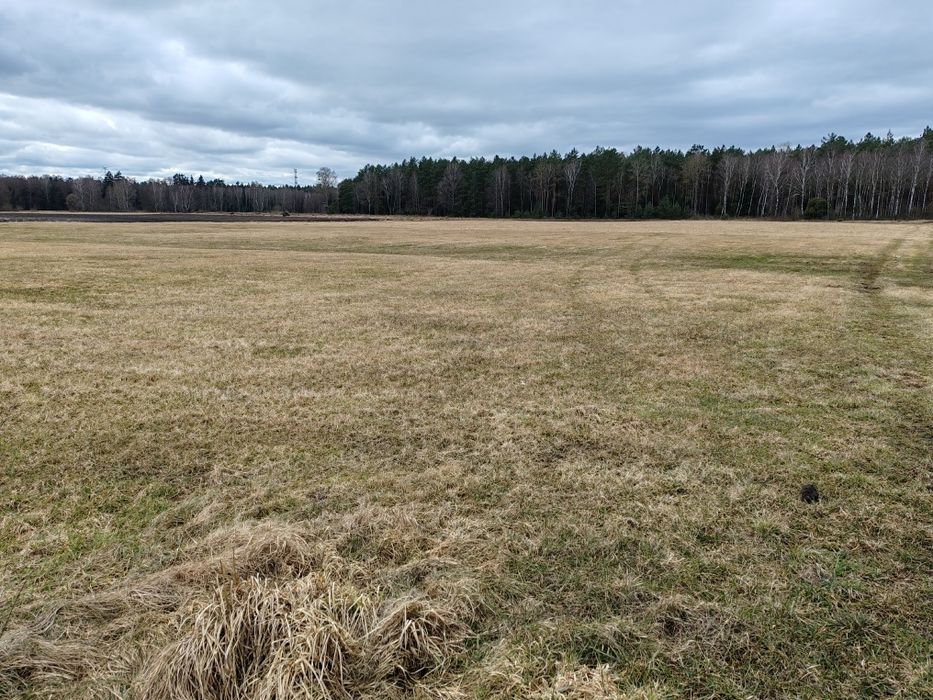 Sprzedam grunty rolne