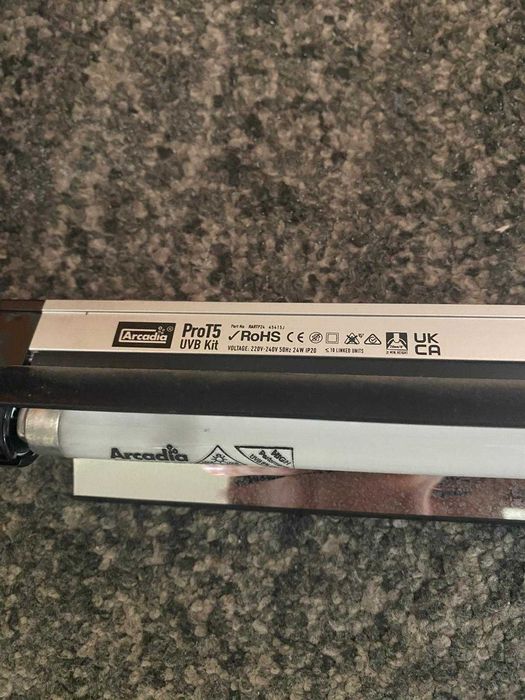 Terrário (Terrario para réptil como camaleão)