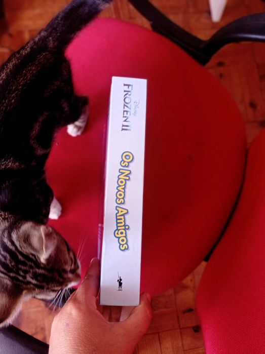 Livro com cenário e figuras da Frozes64283568580227121