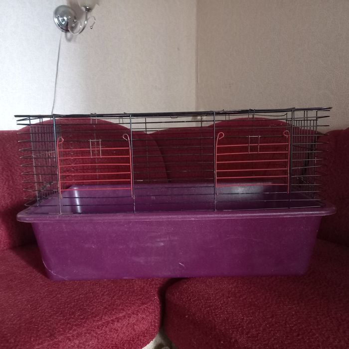 Большая клетка для кроля