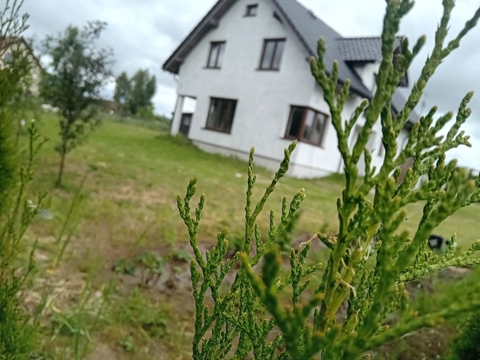 Gowidlino - dom  222 m2