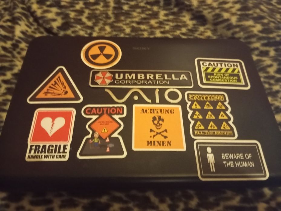 Sony Vaio SVE113M1EB Chromebook