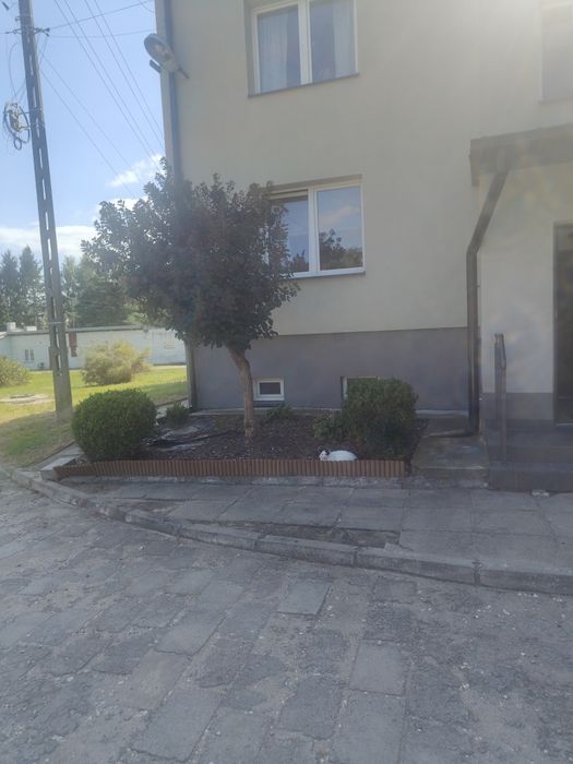Zdjęcie 7