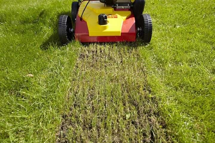 Wertykulator aerator pielęgnacja trawnika Wynajem Szczecin