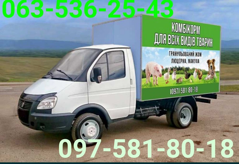 курчата бройлери