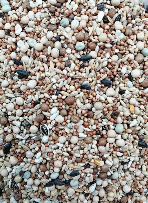 Karma dla gołębi bez kukurydzy i bez pszenicy, 25kg