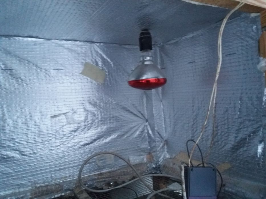 Бруддер ддя відігріву курчат