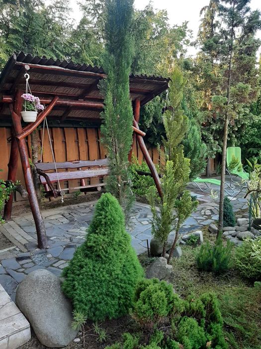 Еко-садиба  "У Дани" біля термальних басейнів