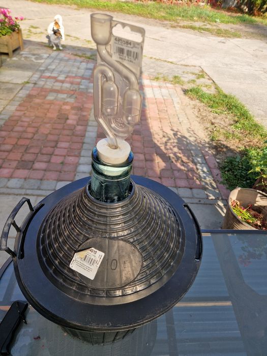 Balon gąsior do wina 10l