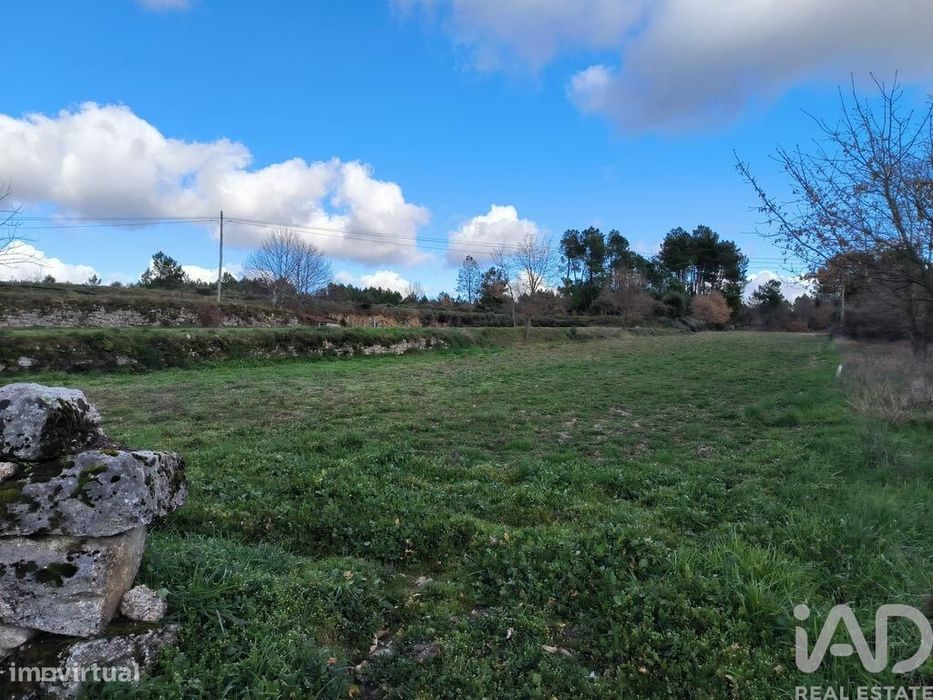 Quinta T5 em João Antão de 228,00 m2